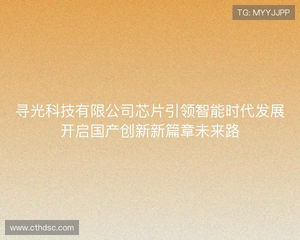 寻光科技有限公司芯片引领智能时代发展开启国产创新新篇章未来路